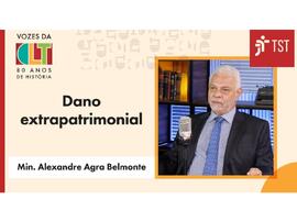 Dano extrapatrimonial - Min Alexandre Agra Belmonte